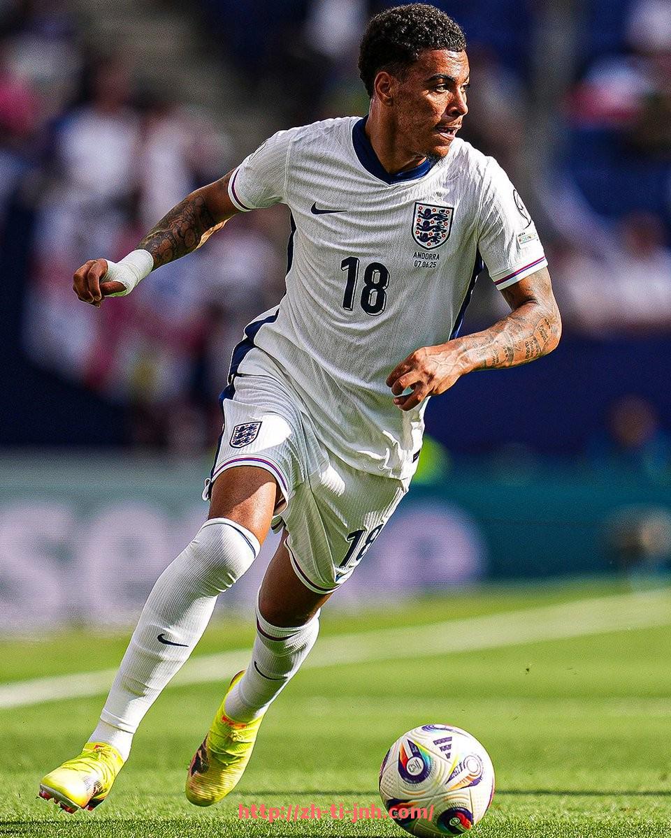 金年会体育-足球西甲直播录像回放资源整合及下载